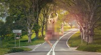 Dancing naked in the road - meteors