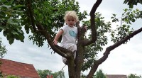 Children arrested for playing in tree