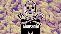 Monsanto death corn logo