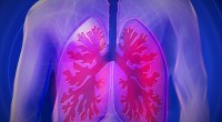 Science Says: The Lungs of Long-Term Heavy Smokers Are Good Enough For You