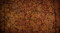 Royality free high resolution premium custom wooden cork texture